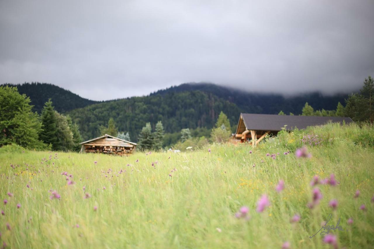 Apartament Krolewski Superior Z Sauna Zakopane Buitenkant foto